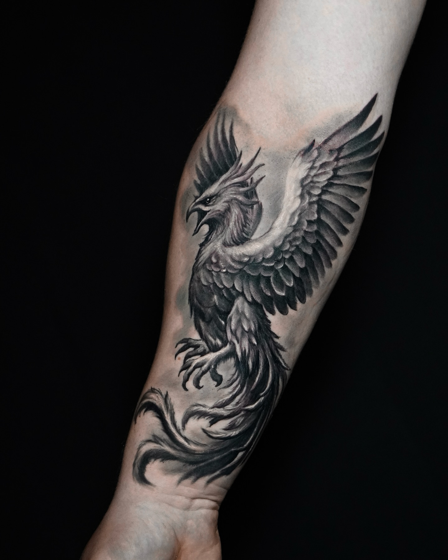 497590441 18324493324202405 4393769804573211122 N