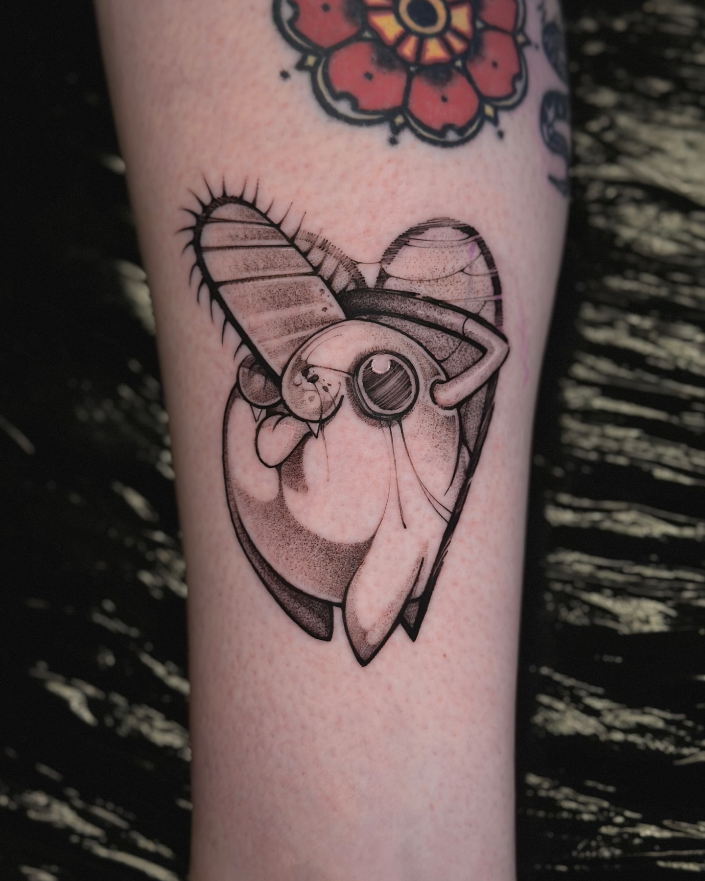 503266914 18326650810202405 4714827297801794907 N