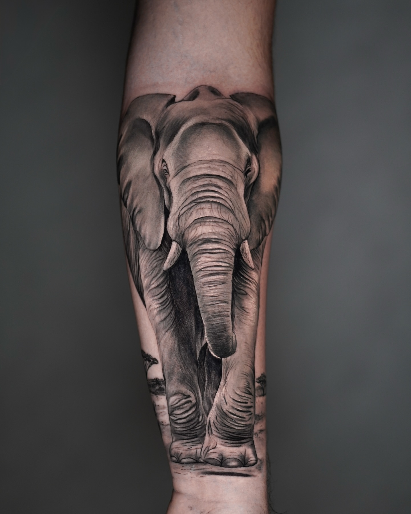 517389817 18330955447202405 7111078975056902498 N