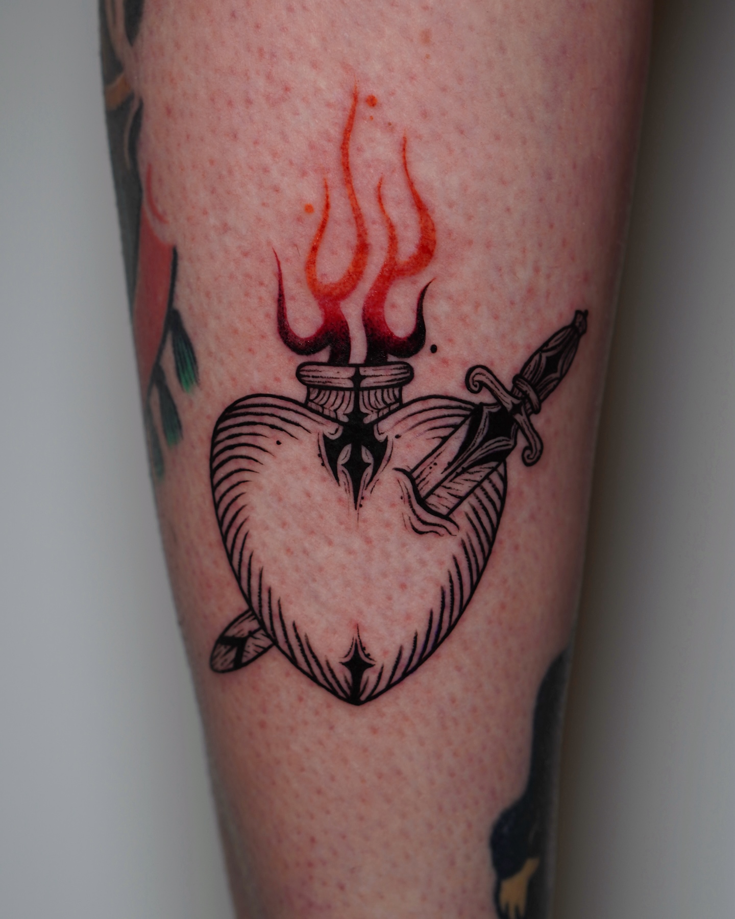 475881943 18313213327202405 3576752193402484973 N