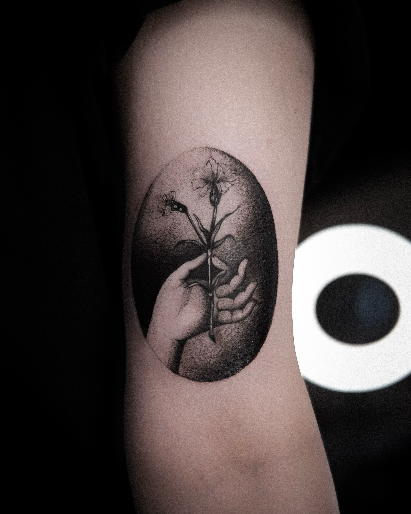 516745580 18330603400202405 7845098698641441121 N