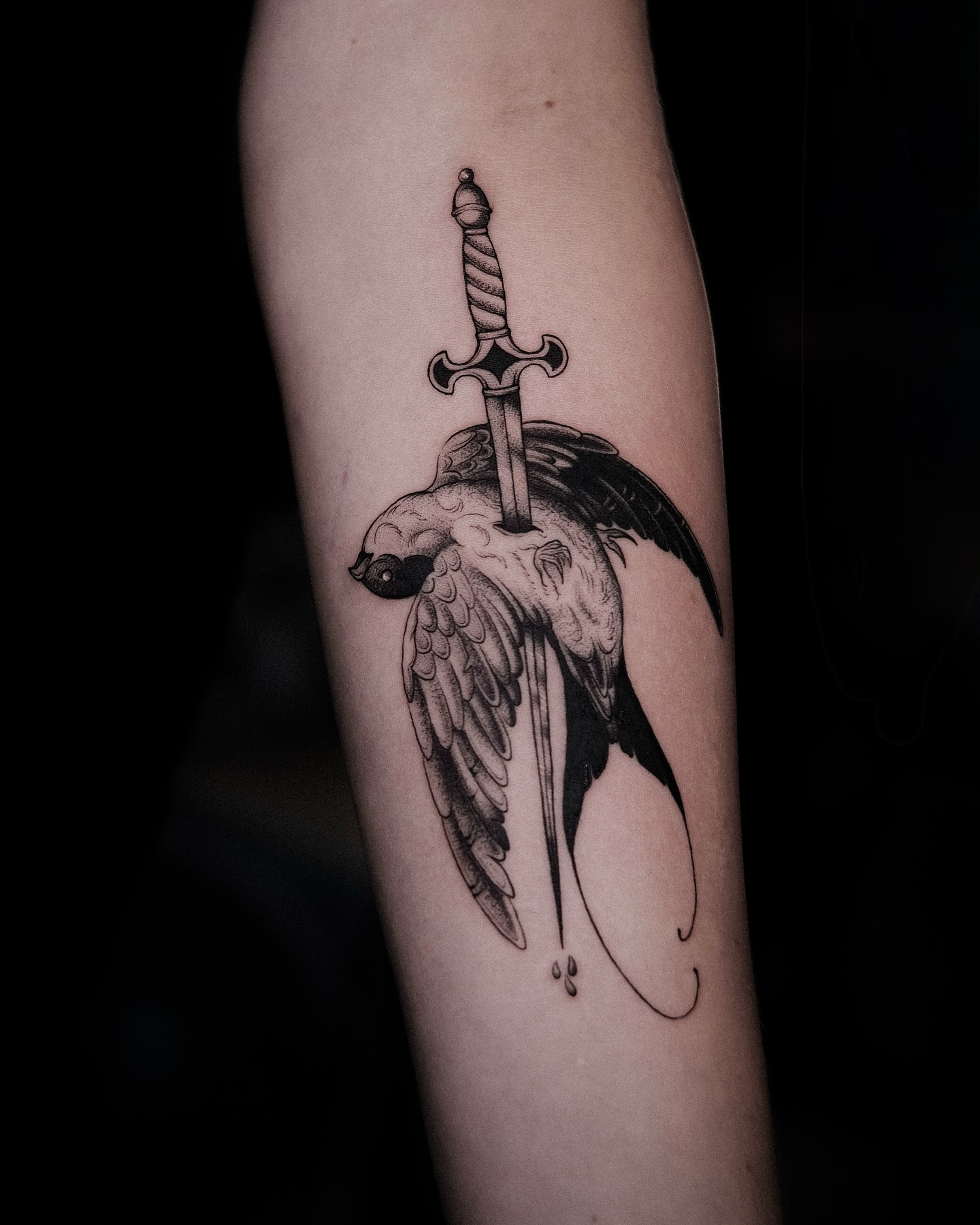 539051977 18336046201202405 8481879468132767943 N