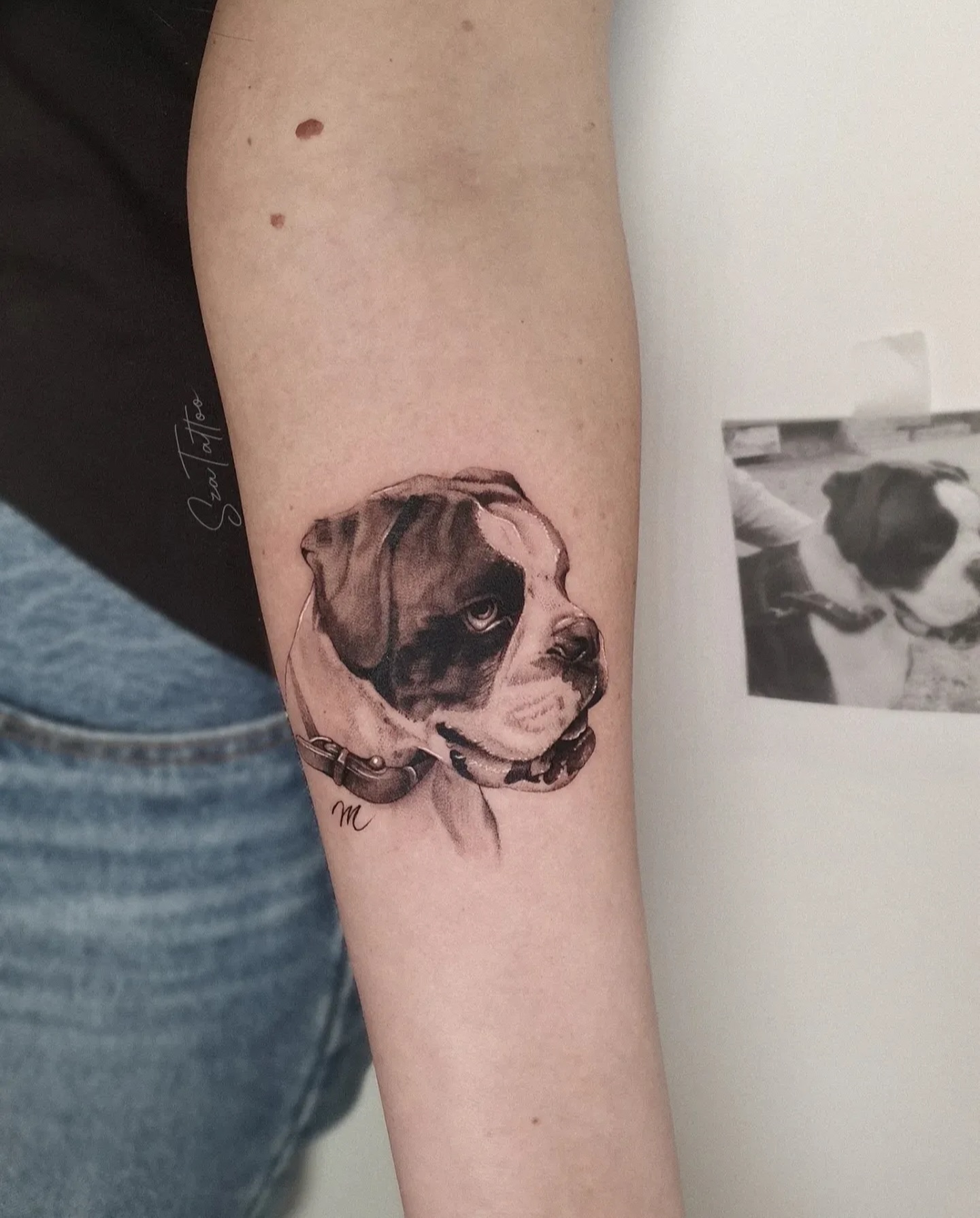 481597424 18315465193202405 2796614991534643310 N