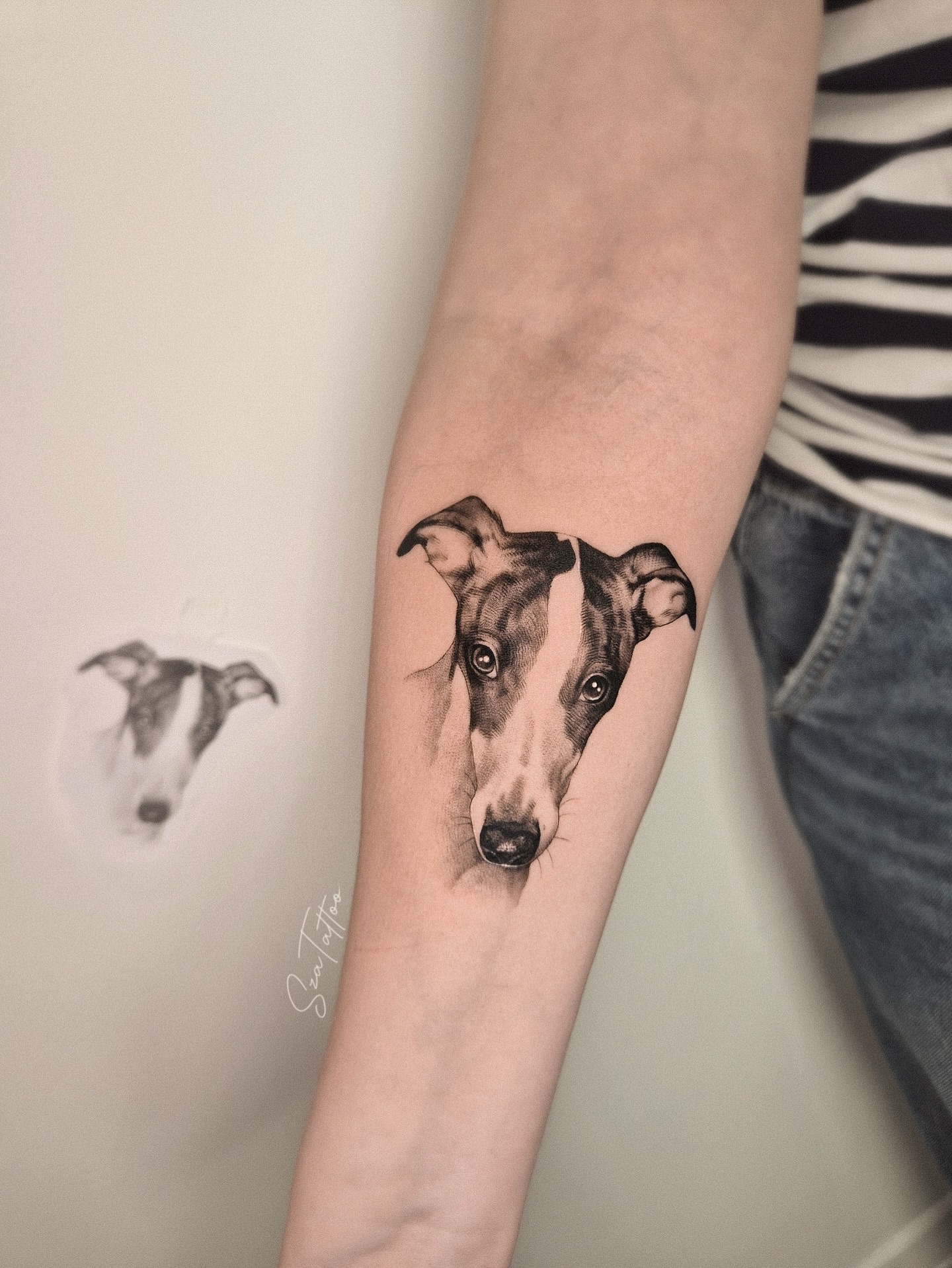 561103804 18342077629202405 3453329444720093566 N (1)